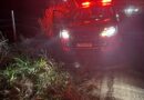 Piau: Jaguatirica, confundida com onçapintada ferida é resgatada pelo Corpo de Bombeiros na MG-353