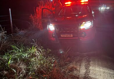 Piau: Avistamento de onça-pintada, ferida após possível atropelamento, mobiliza Corpo de Bombeiros na MG-353