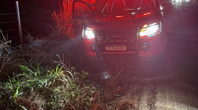 Piau: Avistamento de onça-pintada, ferida após possível atropelamento, mobiliza Corpo de Bombeiros na MG-353