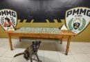 Tráfico de drogas: Polícia Militar apreende 600 papelotes de cocaína e aponta liderança de facção criminosa em São João Nepomuceno