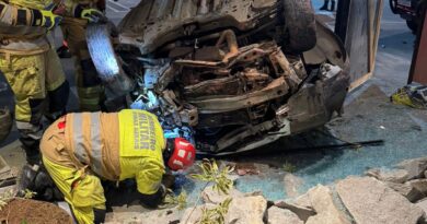 “Nasceu de novo”: Carro despenca de ribanceira e motorista sobrevive, após queda de cerca de 80 metros em Juiz de Fora