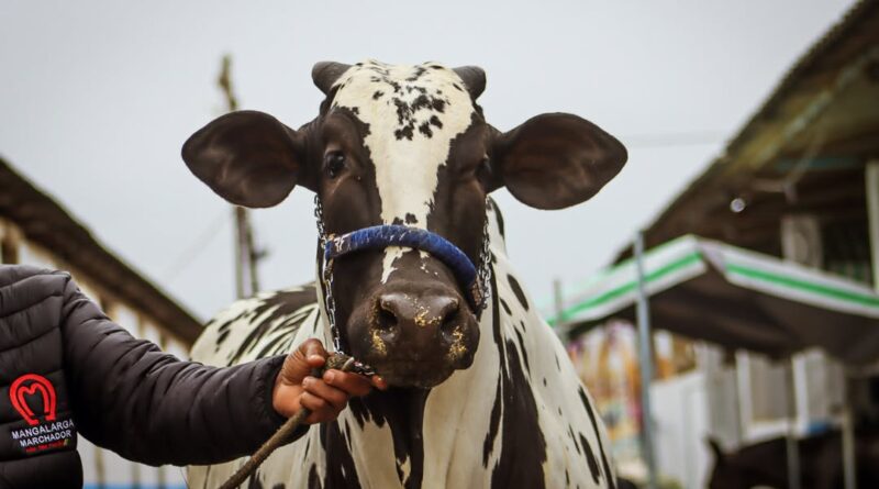 Primeira edição da Feira do Agronegócio reúne tradição, genética de ponta, negócios e grandes atrações em São João Nepomuceno