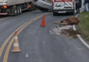 Colisão com cavalo na BR-267 provoca capotamento e deixa trânsito lento entre Bicas e Guarará