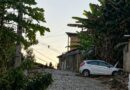 Veículo colide contra árvore em Bicas, em seguida, os ocupantes sofrem ataque de abelhas. Quatro socorridos por ambulâncias de São João Nepomuceno