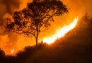 Incêndio de grandes proporções mobiliza força-tarefa e assusta moradores em Rochedo de Minas. Chamas debeladas. Origem? Possivelmente criminosa